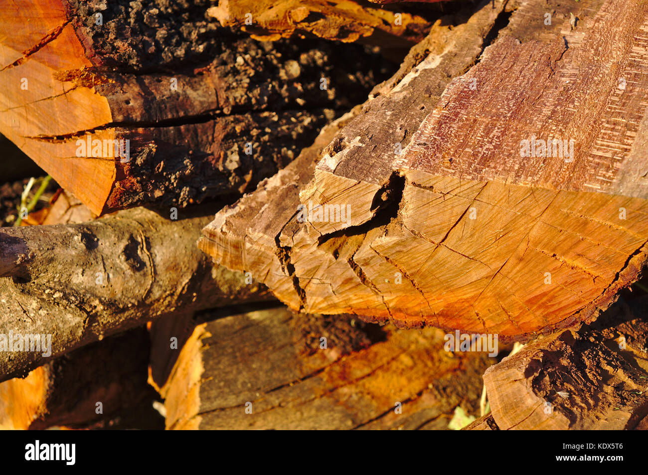 Pile of wood logs stored outside Stock Photo Alamy