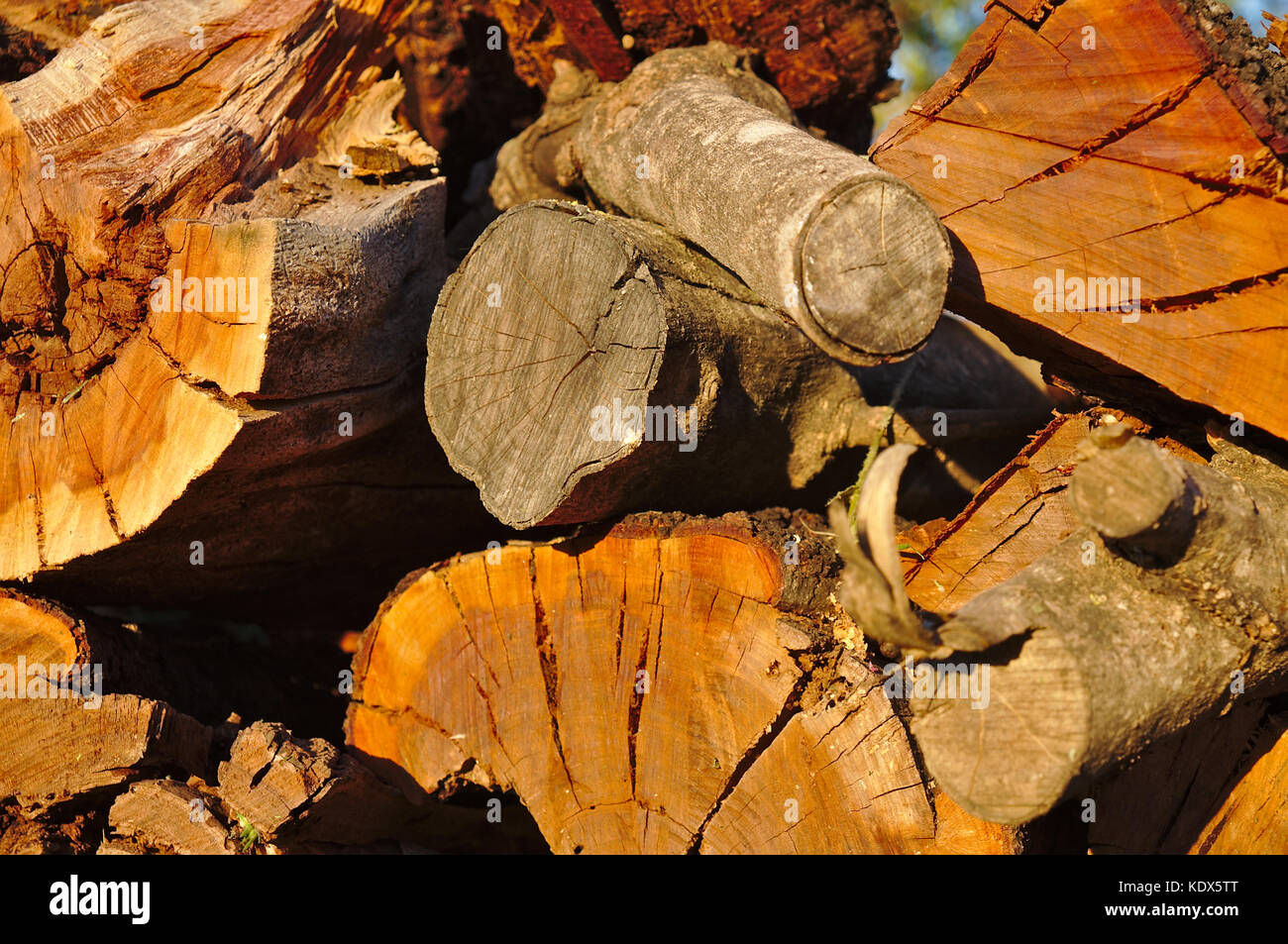 Pile of wood logs stored outside Stock Photo Alamy