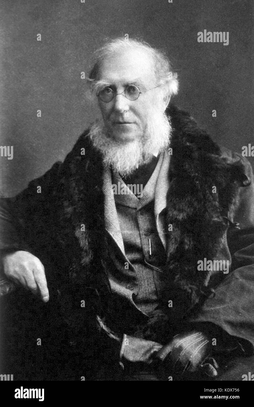 Sir Joseph Dalton Hooker, one of the greatest British botanists and explorers of the 19th century. Stock Photo