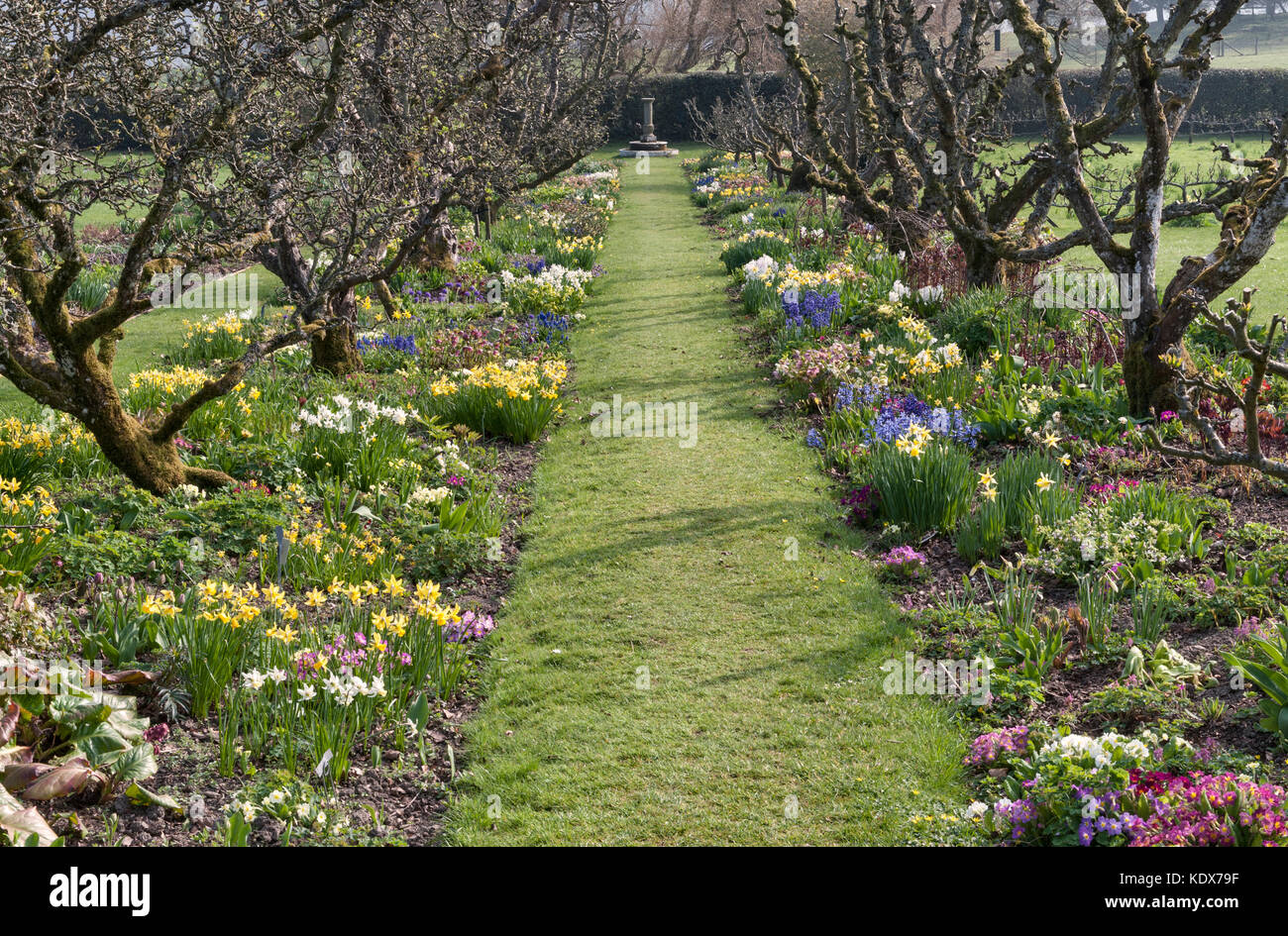 Hergest Croft Gardens, Kington, Herefordshire, UK. Spring borders with