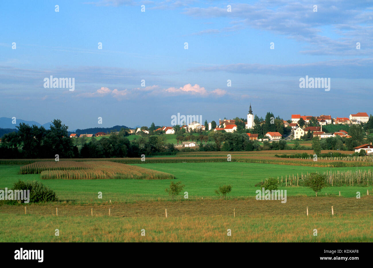 Slowenien, Brezice, Hügelland Kozjansko nördlich von Brezice Stock Photo