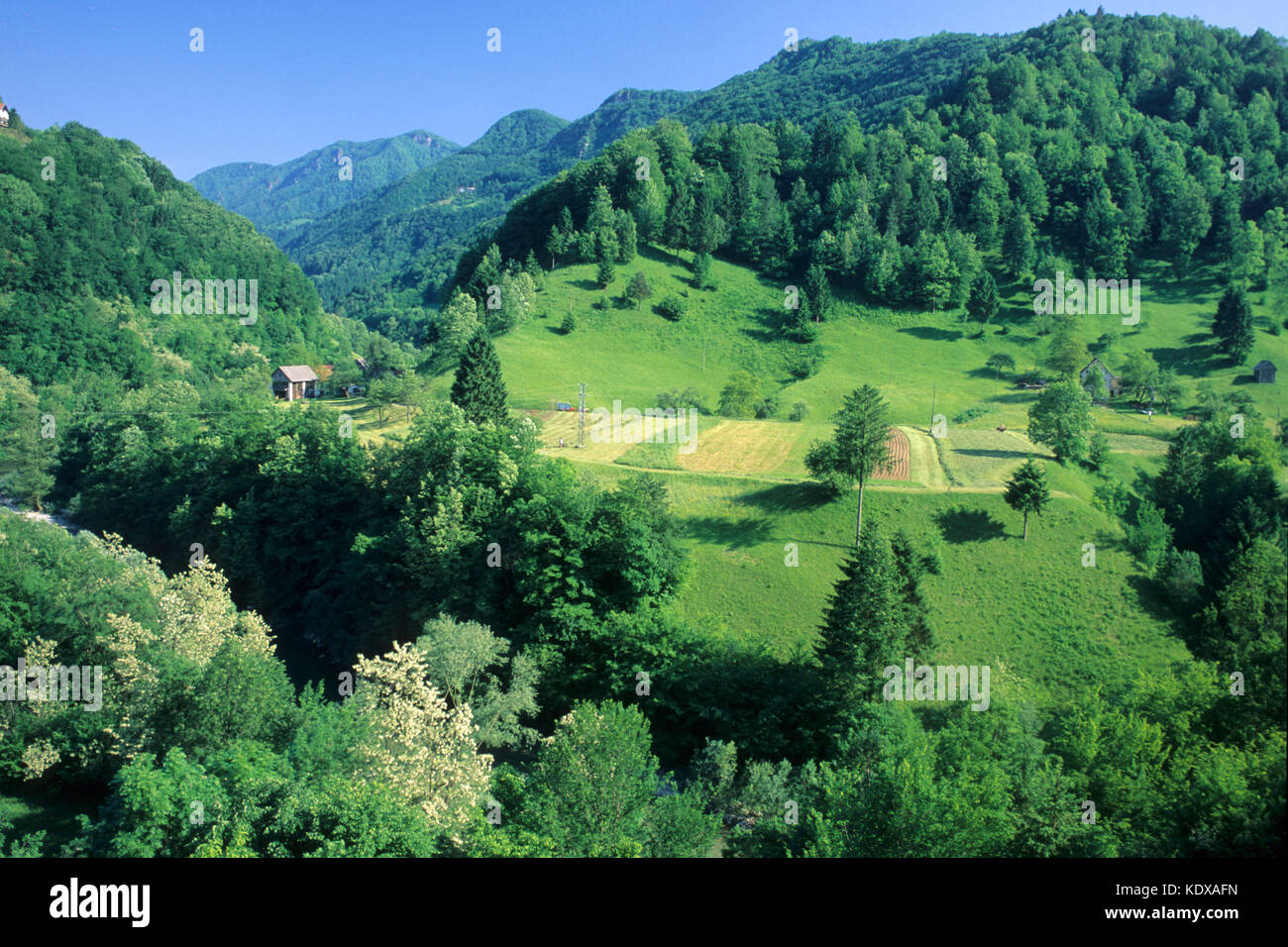Slowenien, Brezice, Hügelland Kozjansko nördlich von Brezice Stock Photo