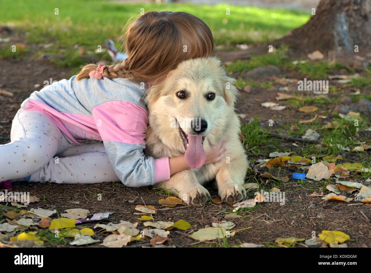 Portrait of a young blond girl child cuddling white puppy outdoors in ...