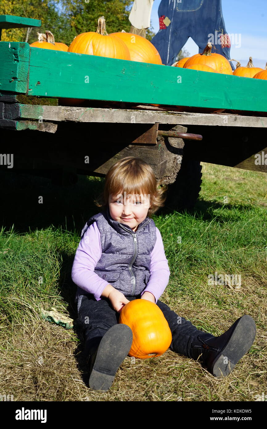 Pumpkin patch. Halloween anticipation. Stock Photo