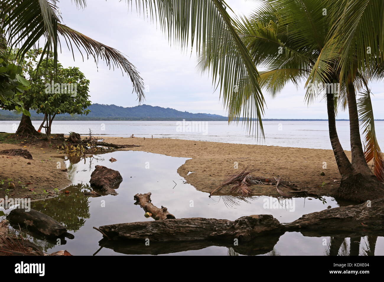 Playa Salsa Brava, Puerto Viejo de Talamanca, Limón province, Caribbean Sea, Costa Rica, Central America Stock Photo
