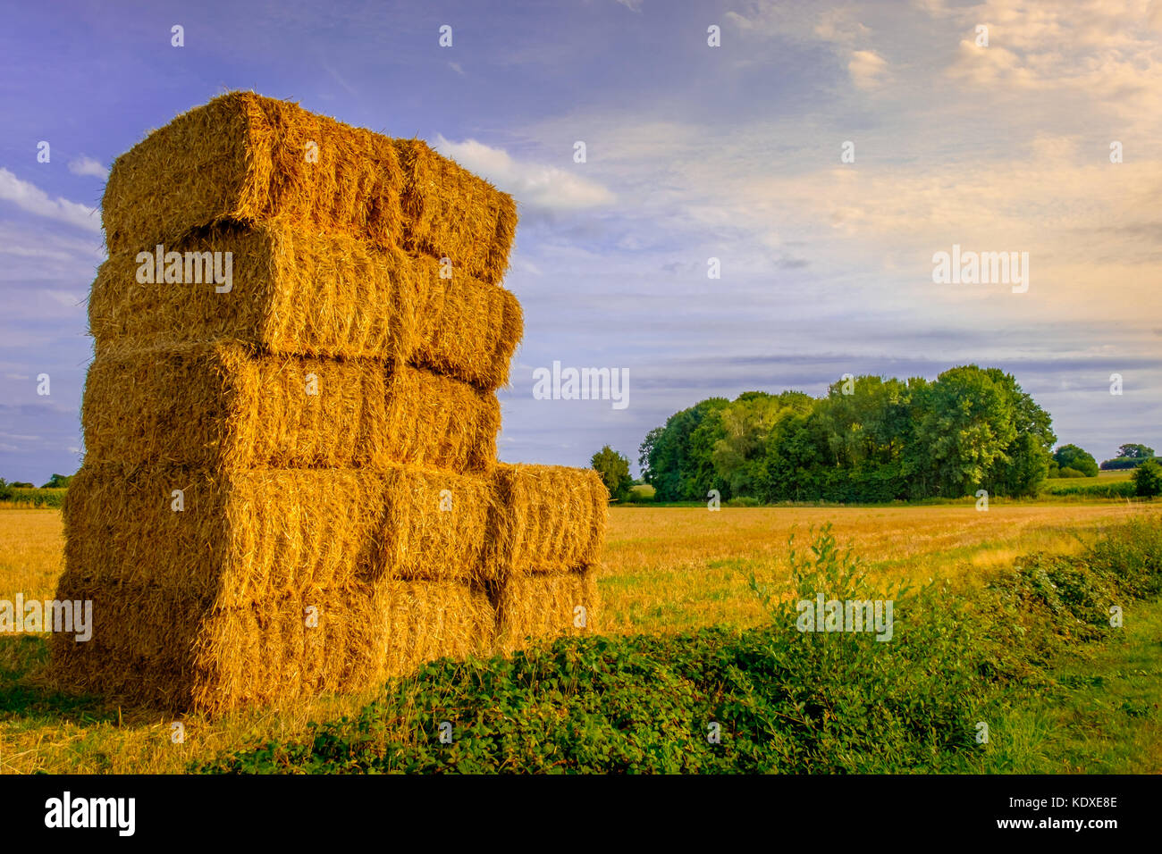 Straw Bales Stacked in a field in the Orne countryside in summer at ...