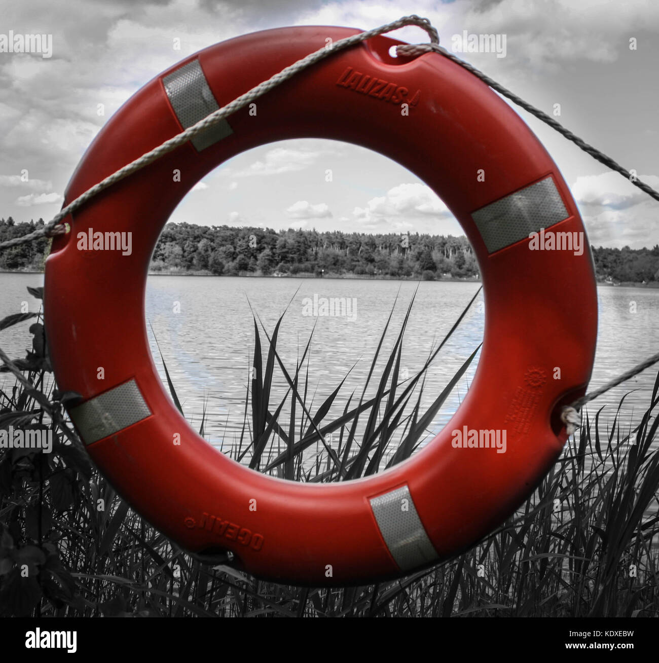 Red circle and black and white nature. Stock Photo