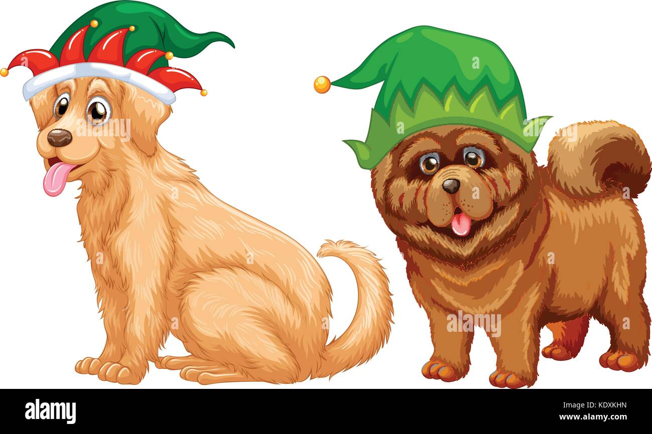 Dogs wearing jester hat illustration Stock Vector Image & Art Alamy