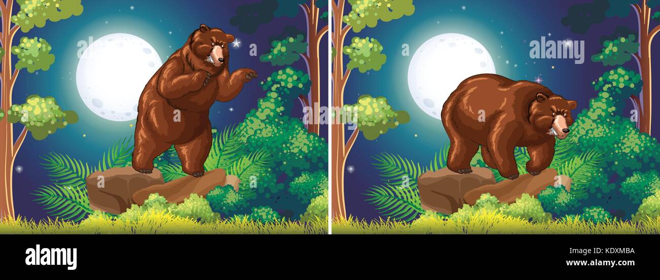 Scene with brown bear in the forest illustration Stock Vector Image ...