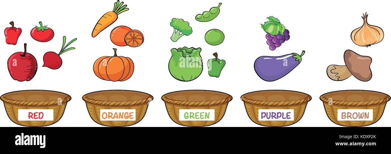 Different colors of fruits and vegetables illustration Stock Vector ...