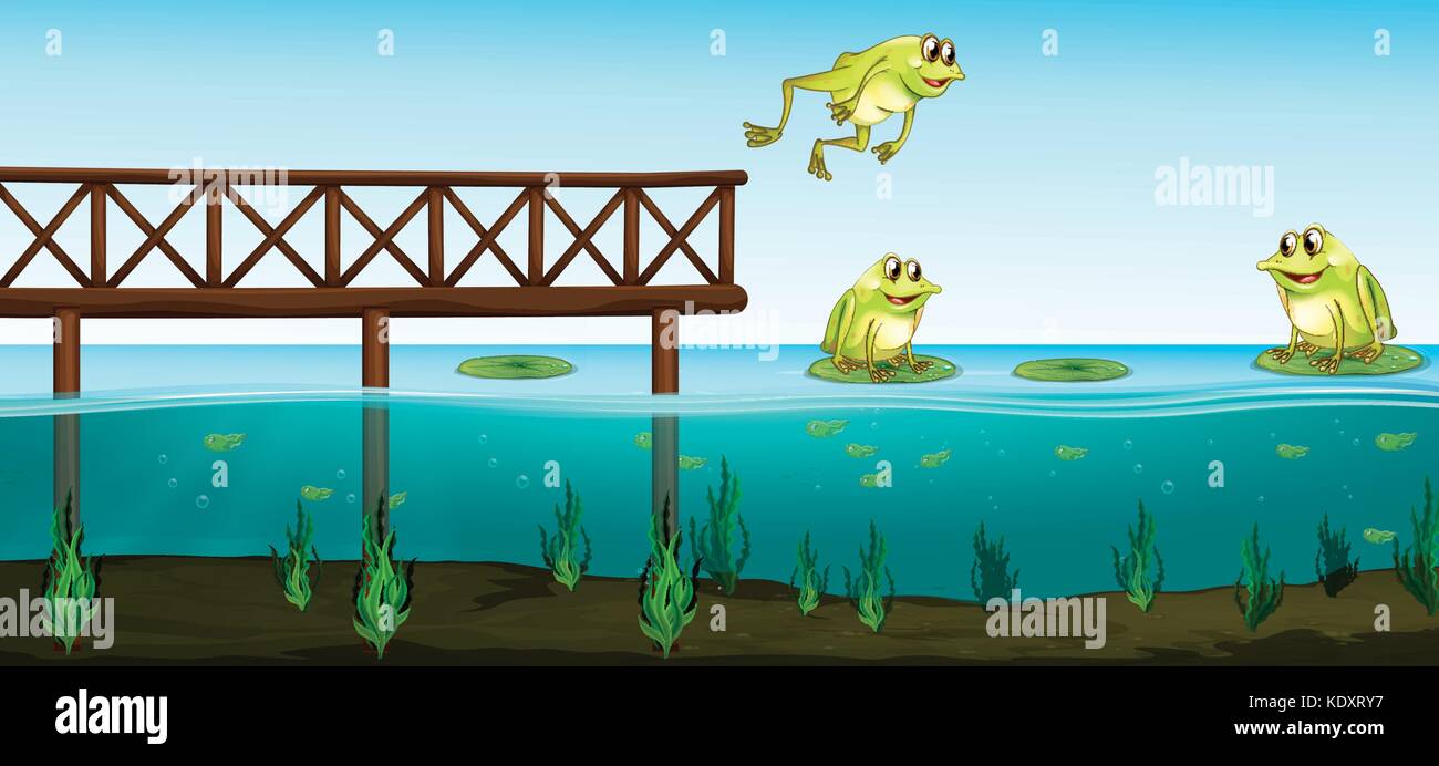 Three frogs in the pond illustration Stock Vector Image & Art - Alamy