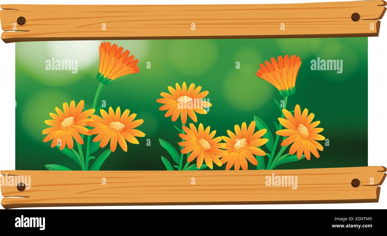 Background design with orange flowers illustration Stock Vector Image ...