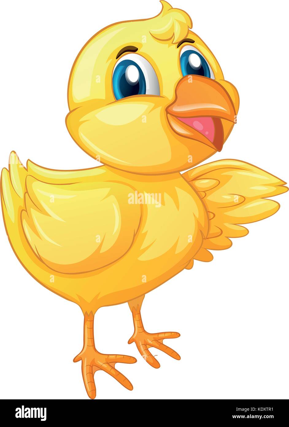 Chick on white background Stock Vector Images - Alamy
