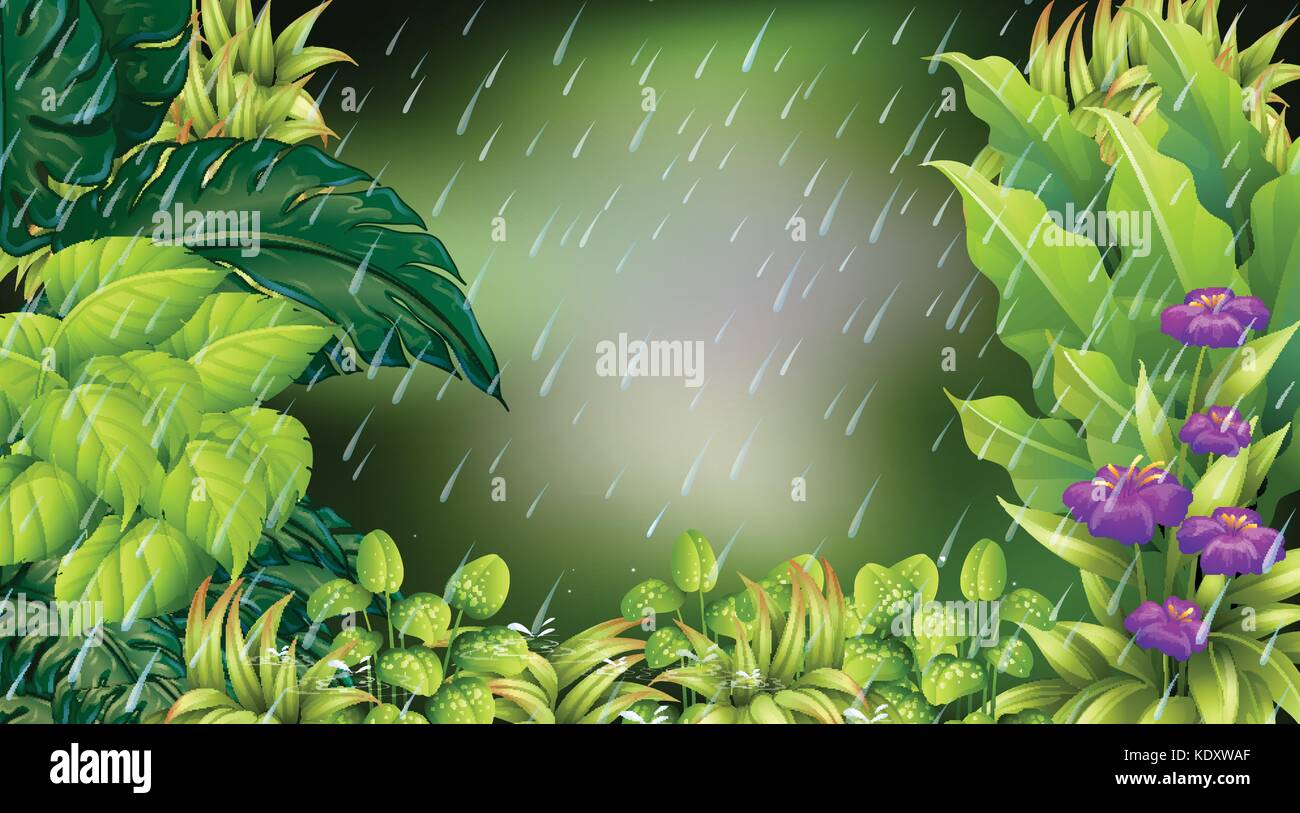 Forest scene on rainy day illustration Stock Vector Image & Art - Alamy