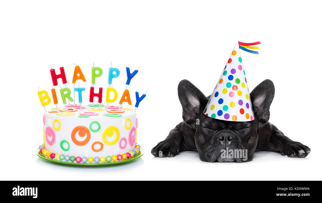 Frenchie birthday cake top