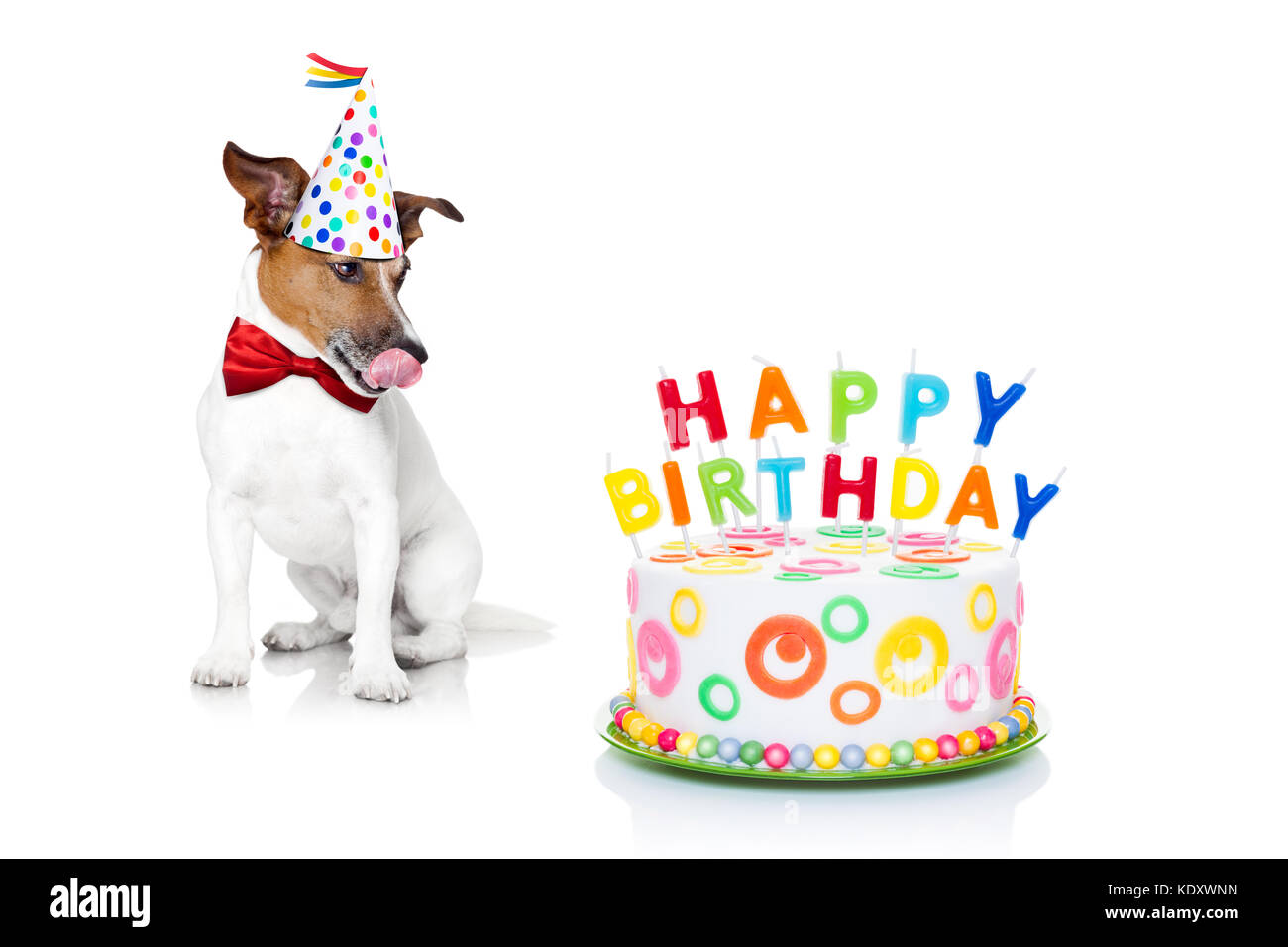 jack russell birthday cake