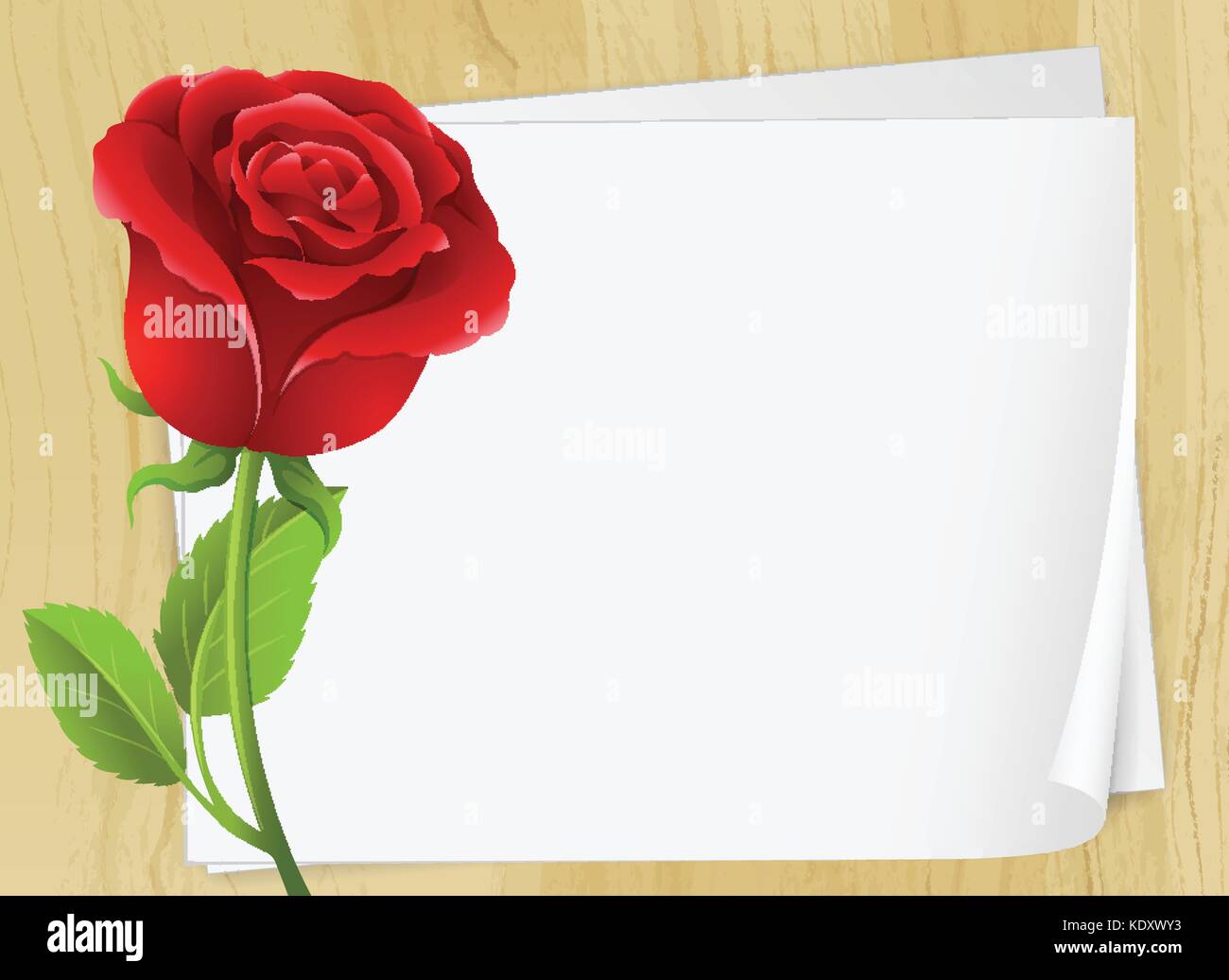 Frame design with red rose illustration Stock Vector Image & Art - Alamy