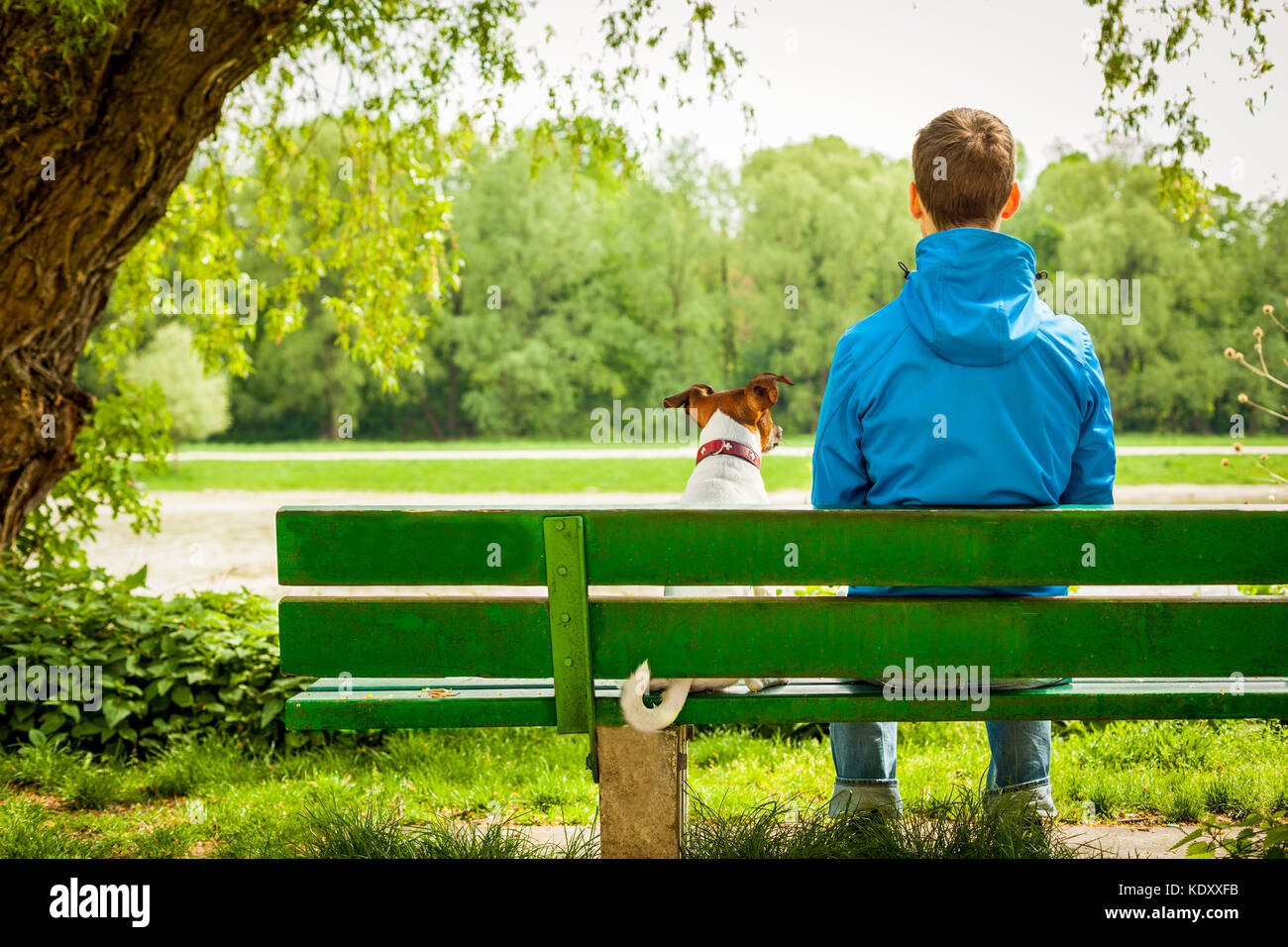 dog sitting on a bank with owner and enjoying the view Stock Photo - Alamy