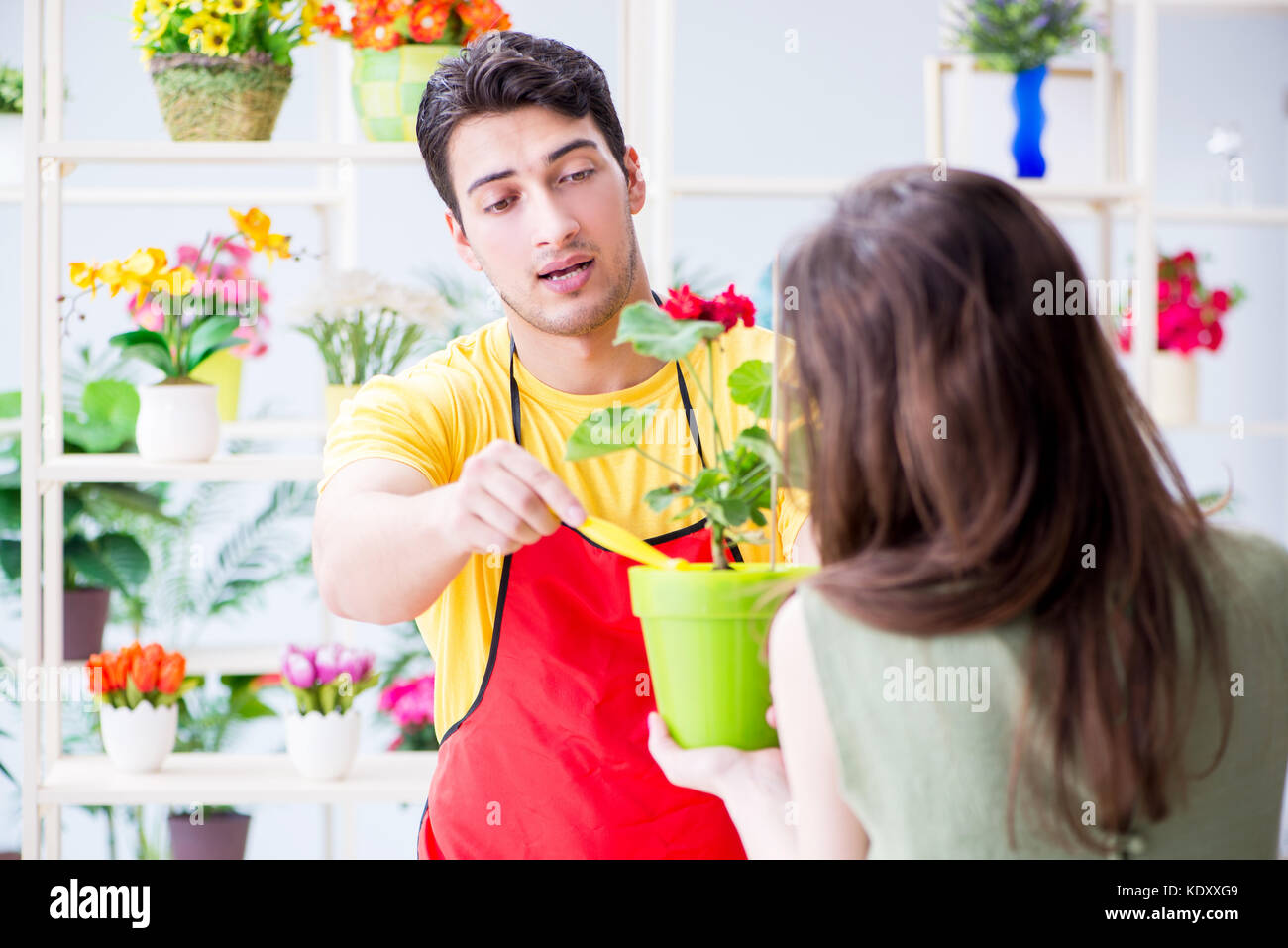 Florist selling flowers in a flower shop Stock Photo Alamy