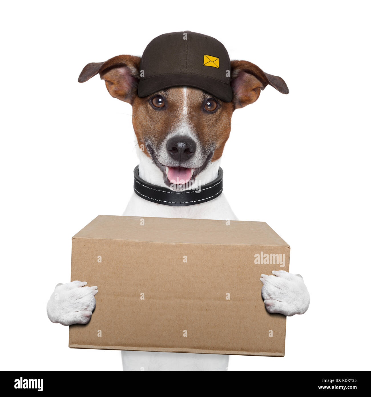 dog delivery post box Stock Photo Alamy