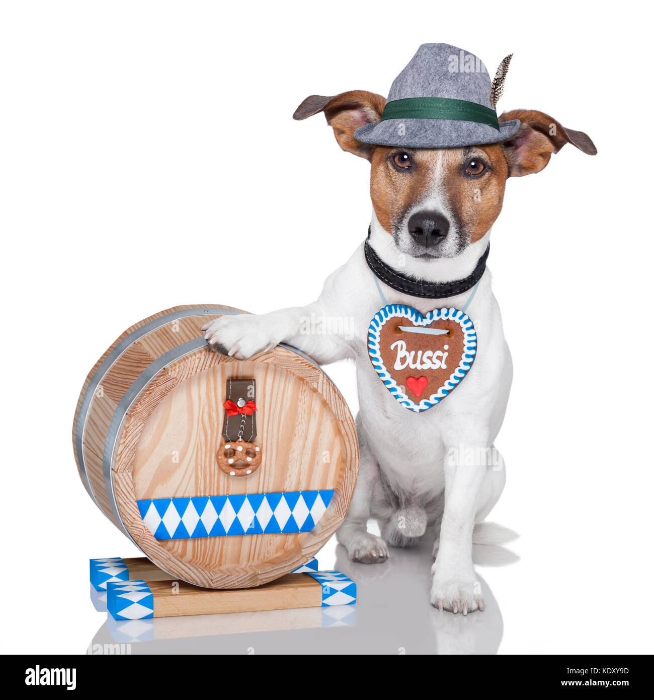 Breeze Decor Doxie Brewing Co. Oktoberfest Garden Flag – Dachshund Wiener Dog, 28x40