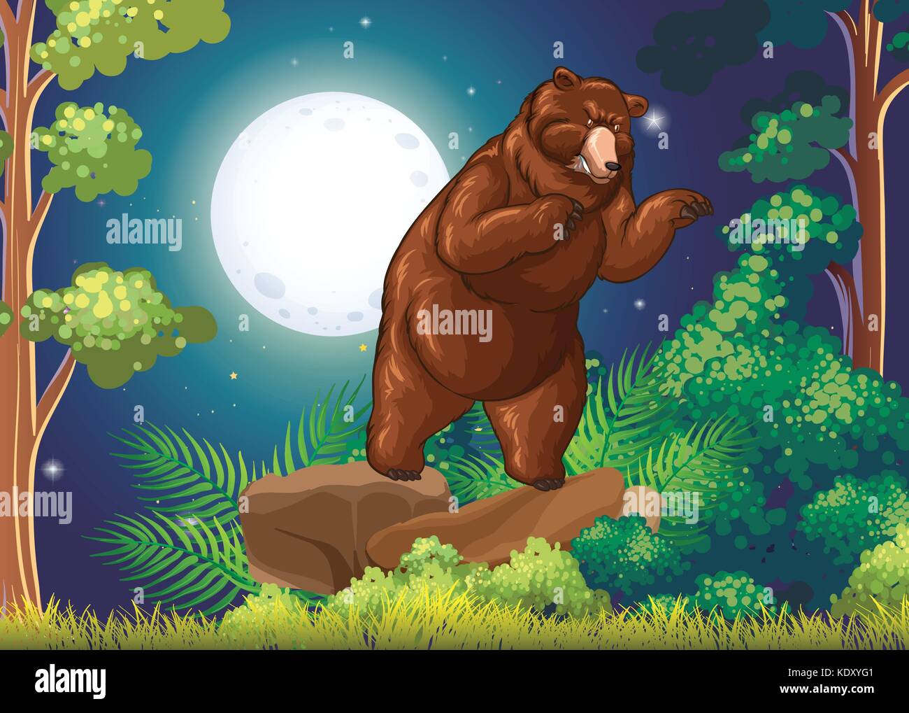 Wild bear in the jungle at night illustration Stock Vector Image & Art ...
