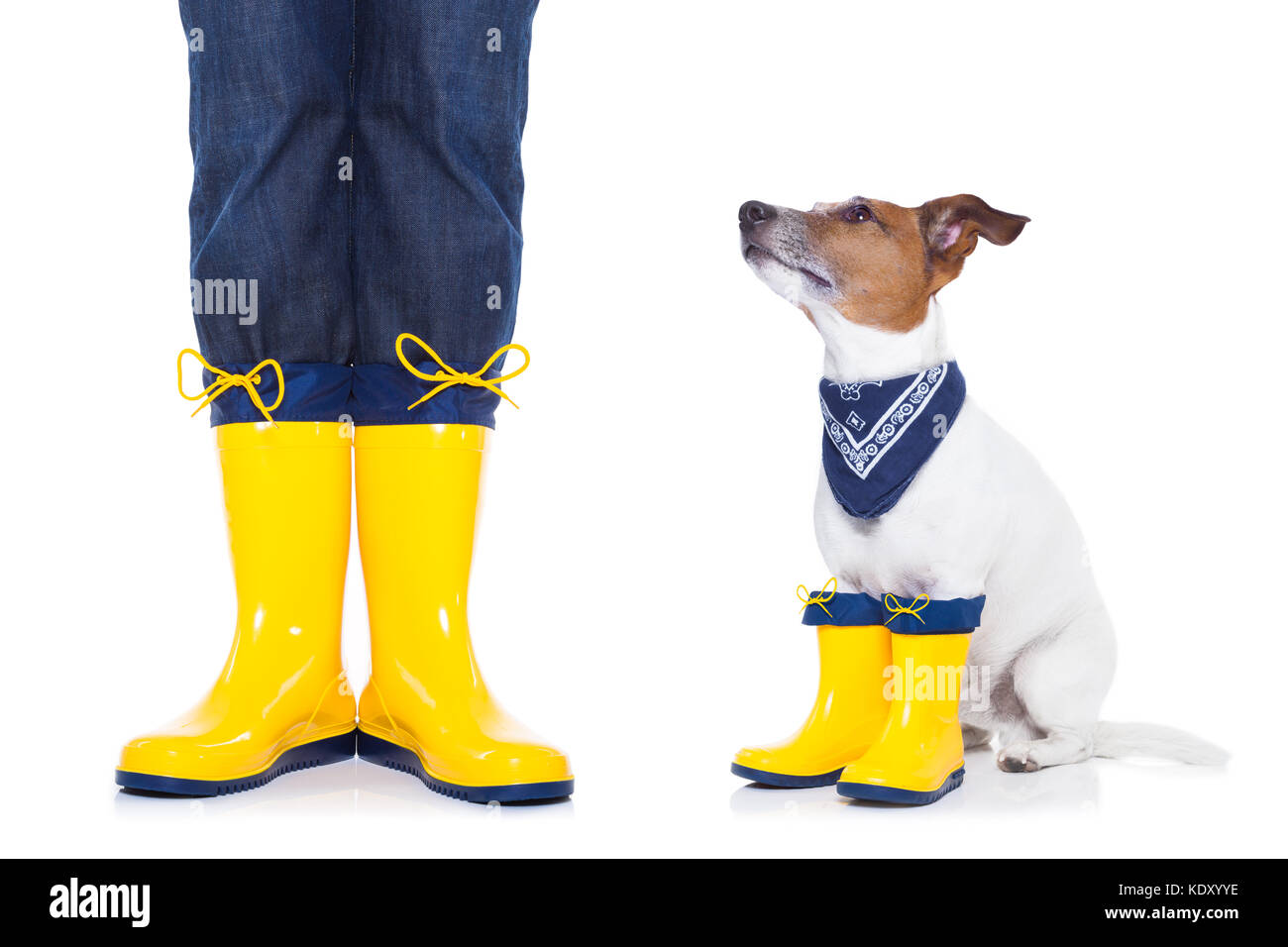 jack russell boots