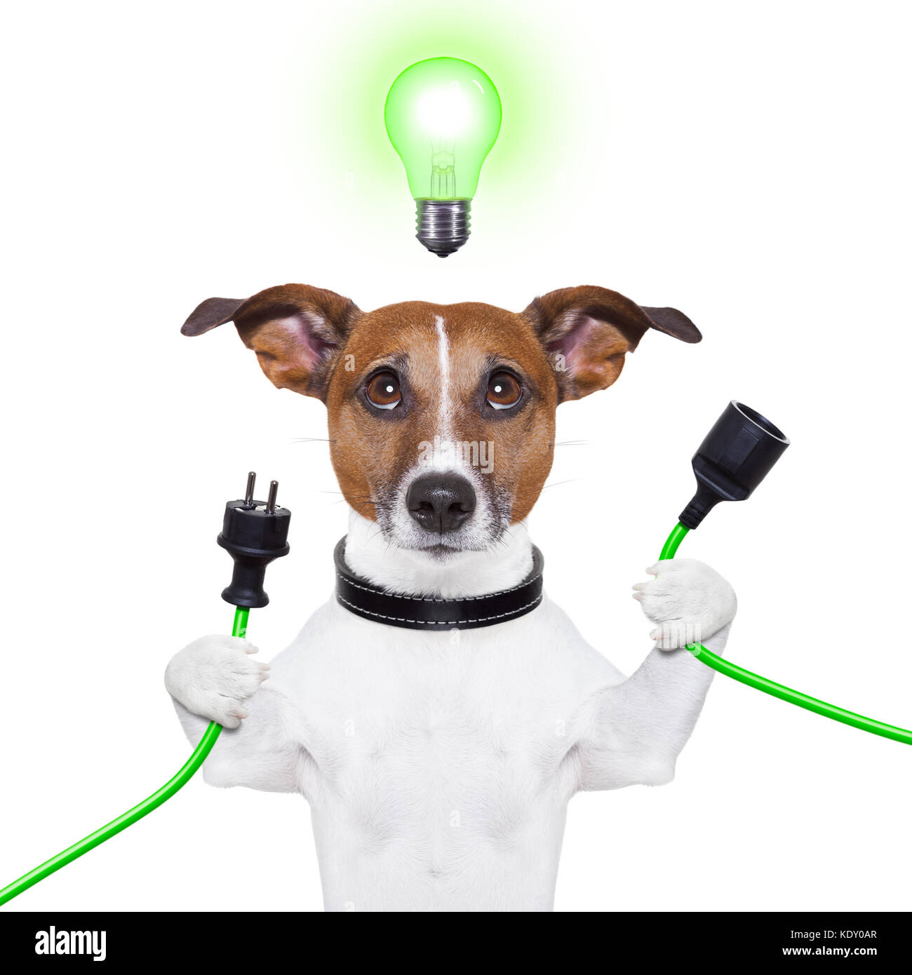 green energy dog with a cable and a light bulb Stock Photo