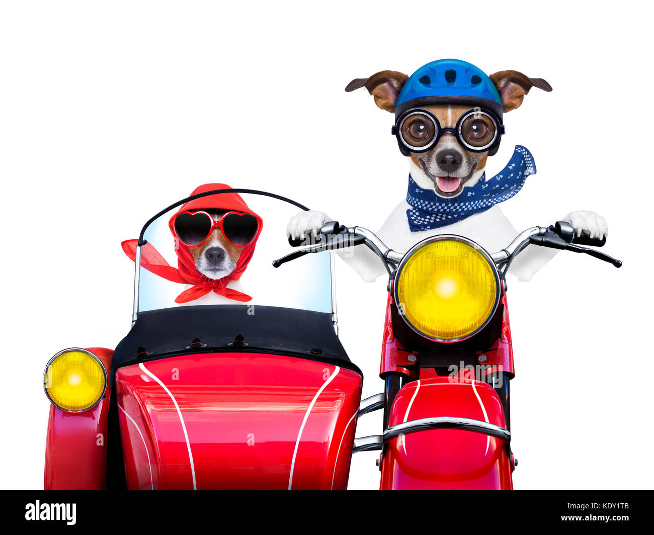 motorbike dogs together in love having a hiloday trip Stock Photo