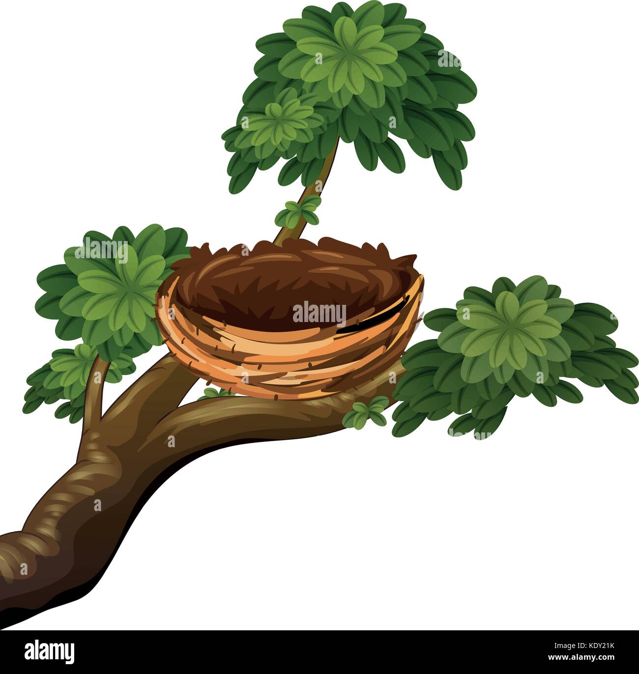 Bird nest on branches illustration Stock Vector Image & Art Alamy