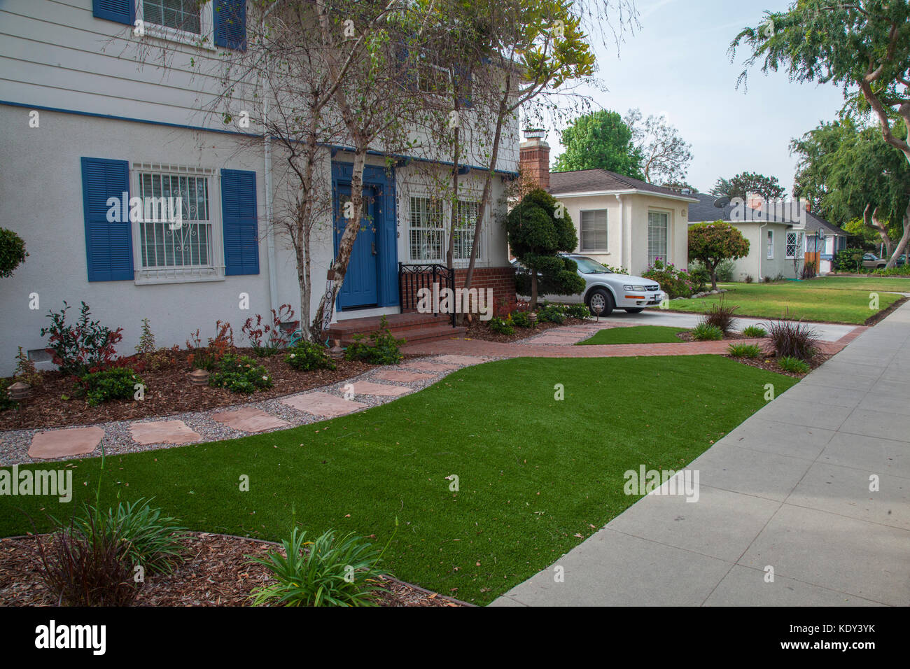 After several years of severe drought, many homeowners are replacing traditional lawns with drought tolerant gardens, Culver City, Los Angles, Califor Stock Photo