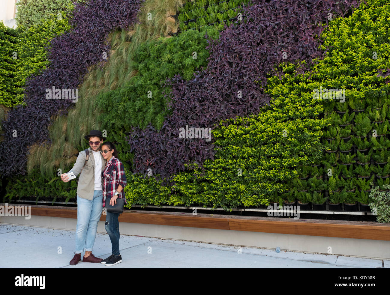 The Green Living Wall in Paphos old town, Cyprus. The vertical garden was created by garden designer Thanasis Evripidou and made off 2,244 plants. Stock Photo