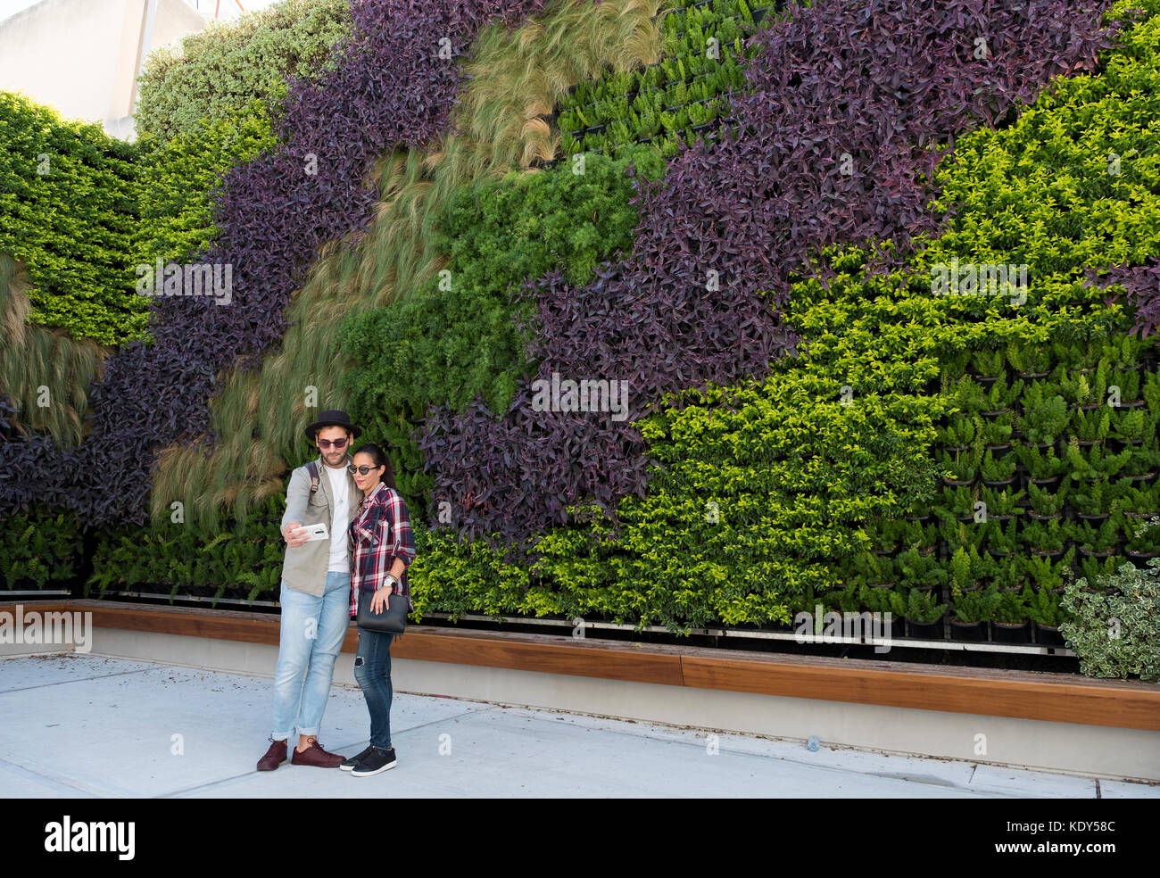 The Green Living Wall in Paphos old town, Cyprus. The vertical garden was created by garden designer Thanasis Evripidou and made off 2,244 plants. Stock Photo