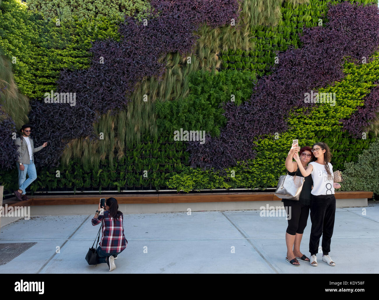 The Green Living Wall in Paphos old town, Cyprus. The vertical garden