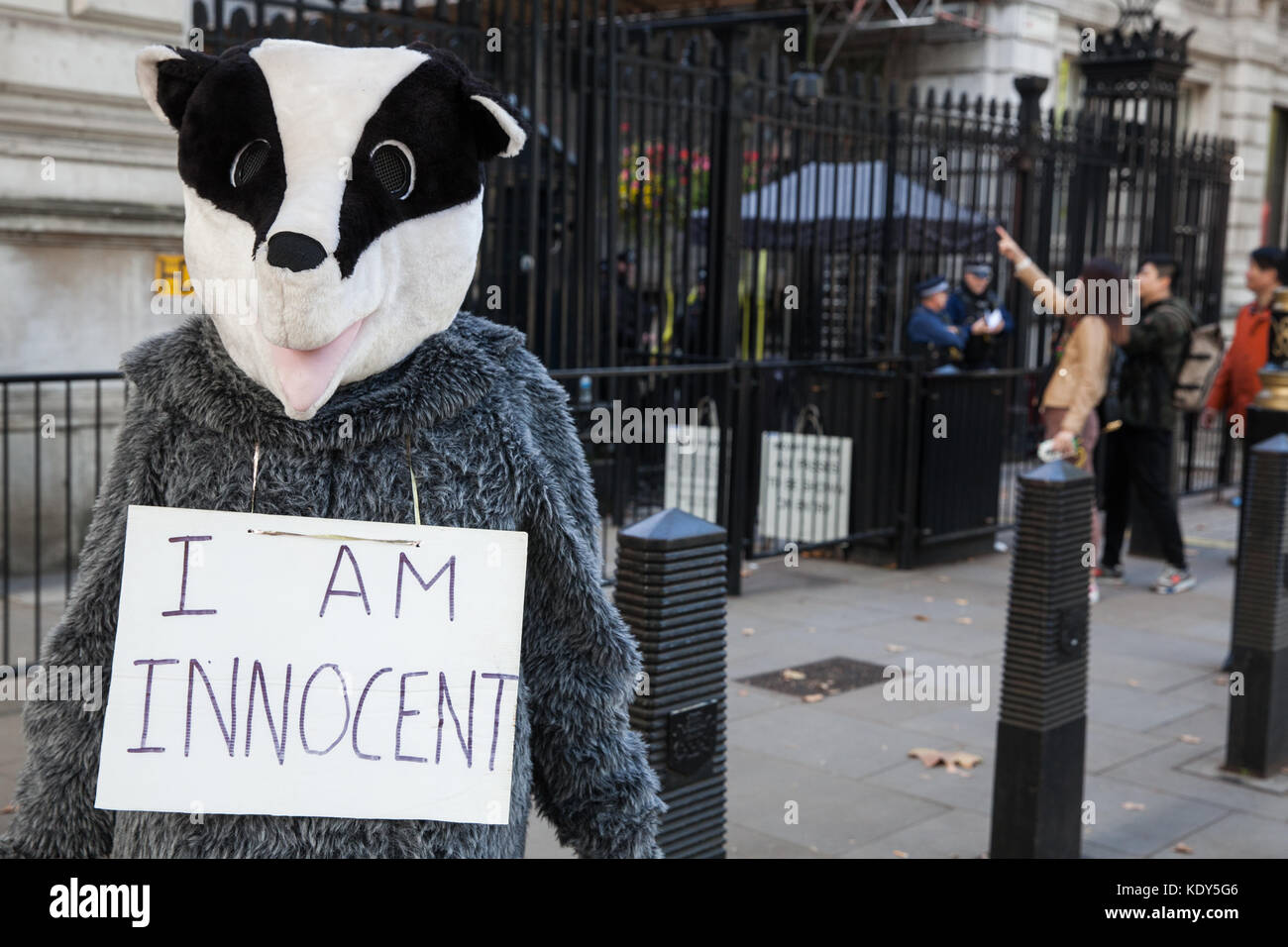 London, UK. 12th October, 2017. An activist wearing a badger costume protests against the Government's plans for an extended badger cull beside the ga Stock Photo
