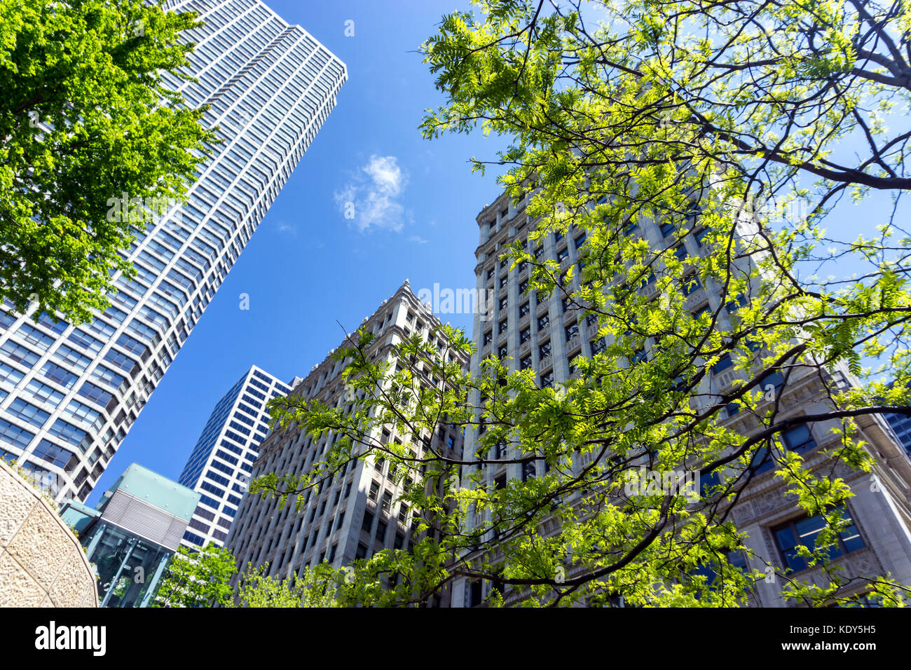 Skyscrapers in the trees hi-res stock photography and images - Alamy