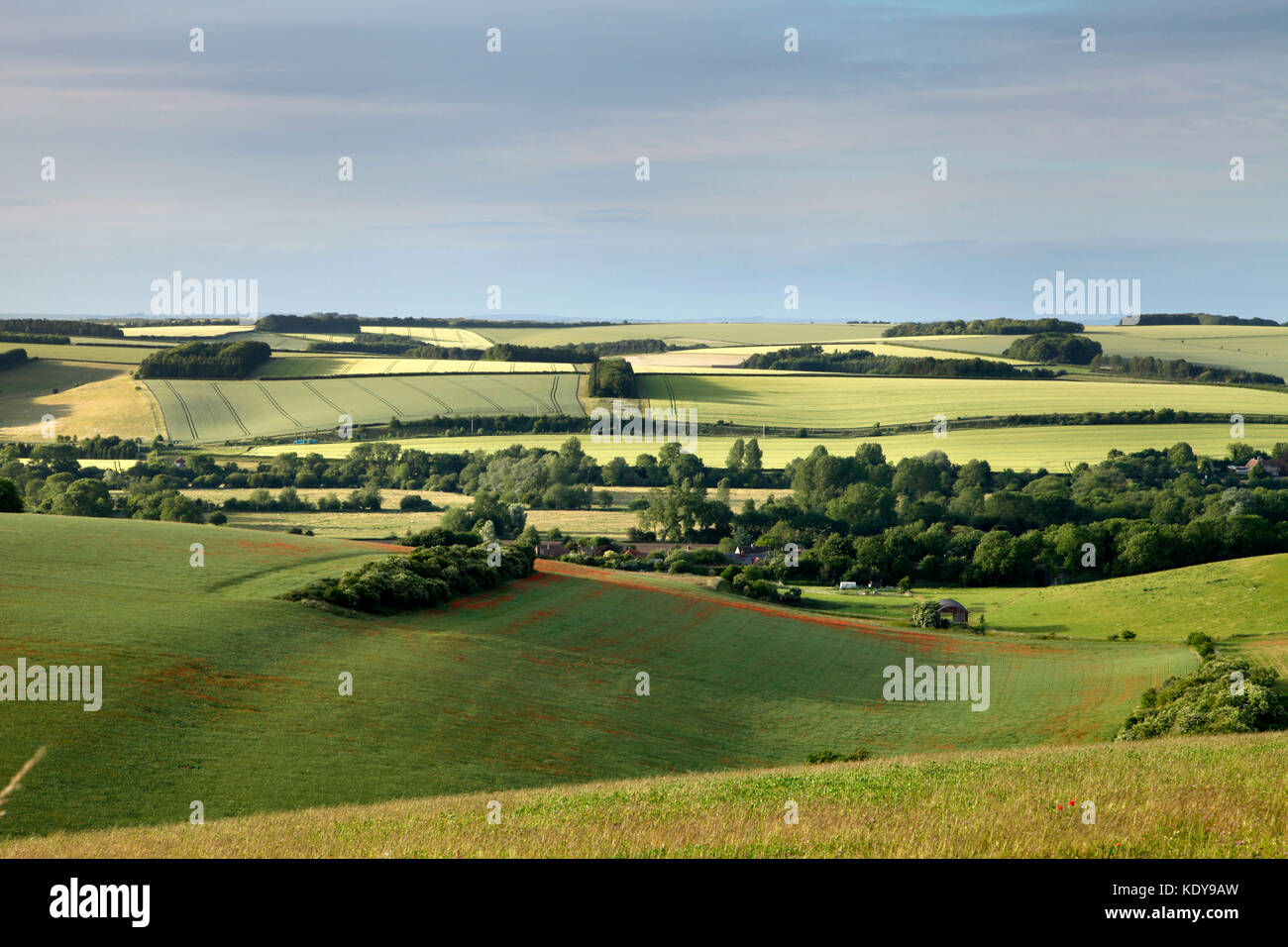 A mid-summer view of the Wylye Valley in Wiltshire, taken near the village of Hanging Langford. Stock Photo