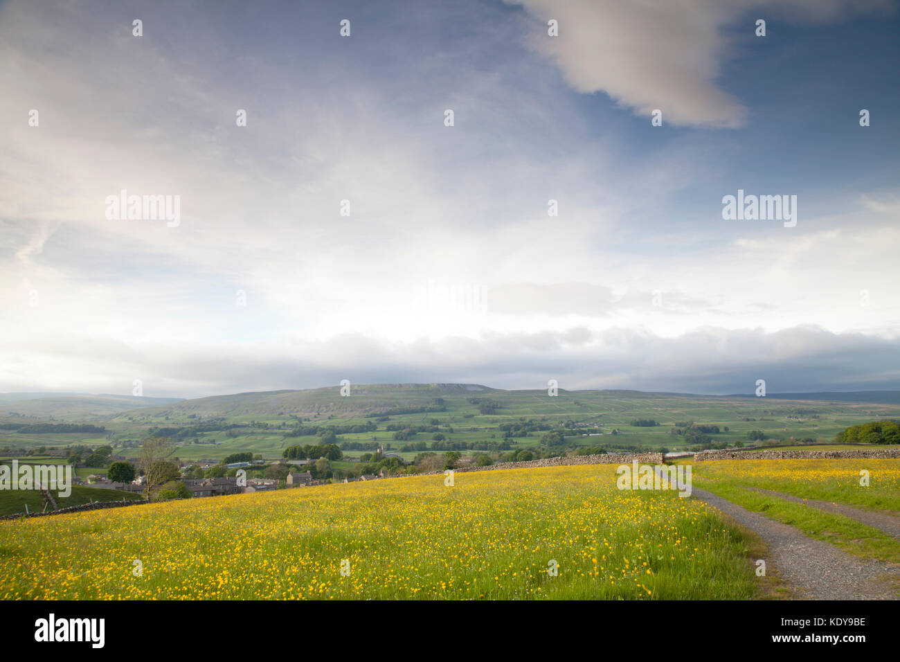 A view of Wensleydale in Yorkshire, taken near the town of Hawes. Stock Photo