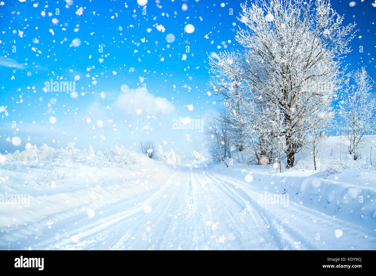 winter landscape with road, forest and blue sky. wintry path. frosty sunny day. snowy winterly landscape. Stock Photo