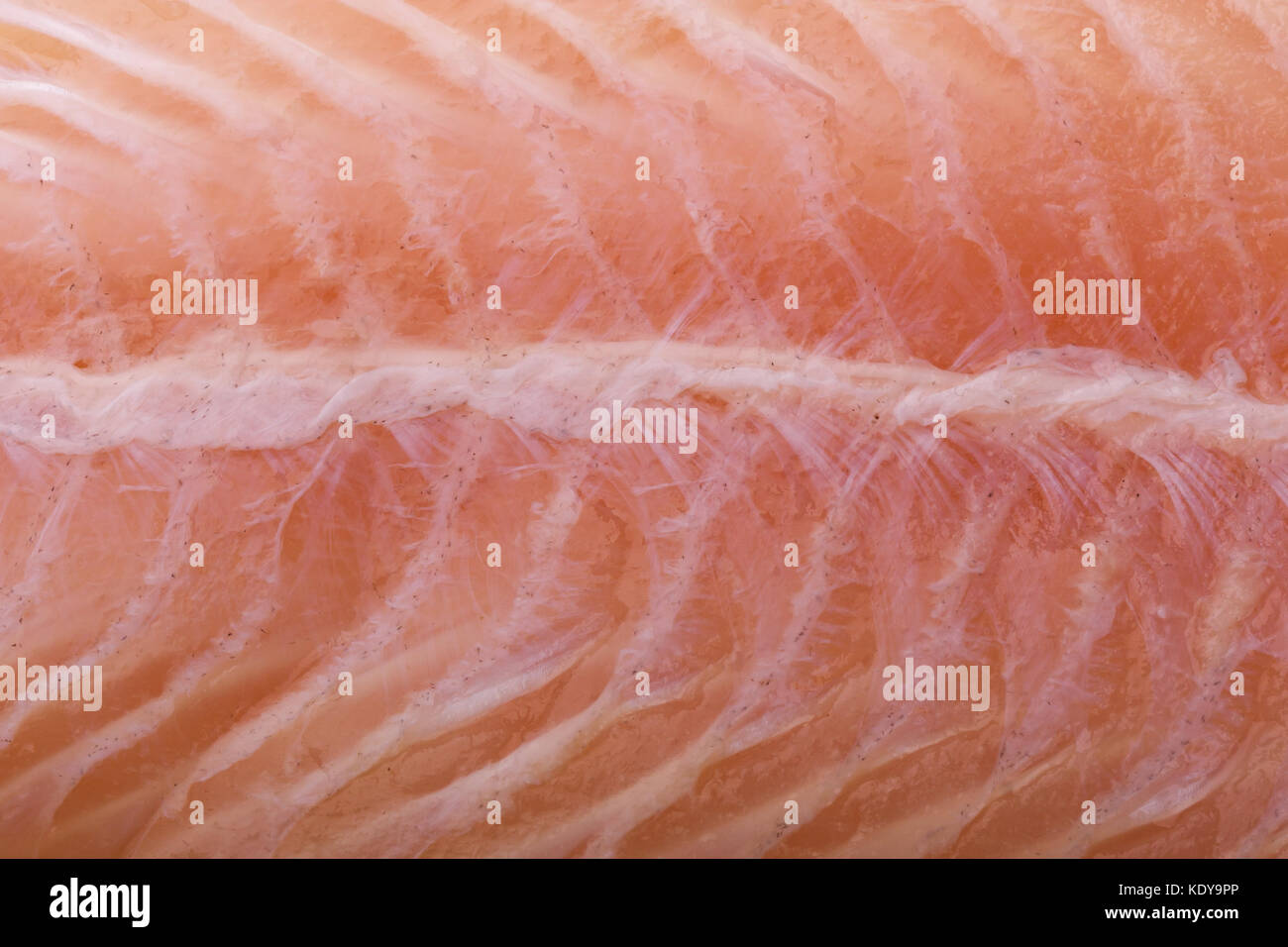 extreme close up of pangasius fish fillet Stock Photo