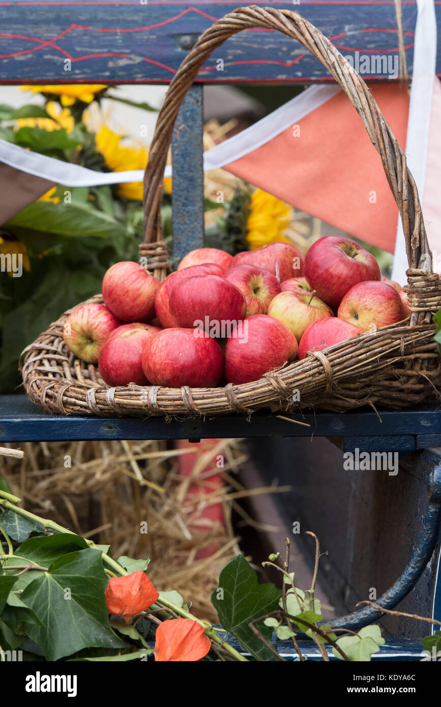 Autumnal rustic harvest festival red apples display at Weald and Downland open air museum, autumn show, Singleton, Sussex, England Stock Photo