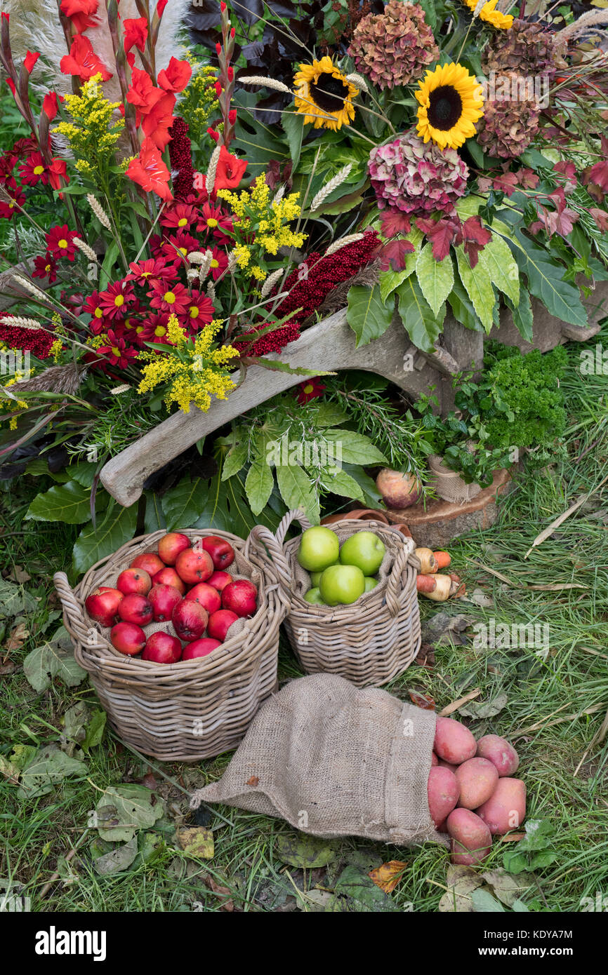 Autumnal rustic harvest festival fruit and flower display at Weald and Downland open air museum, autumn show, Singleton, Sussex, England Stock Photo
