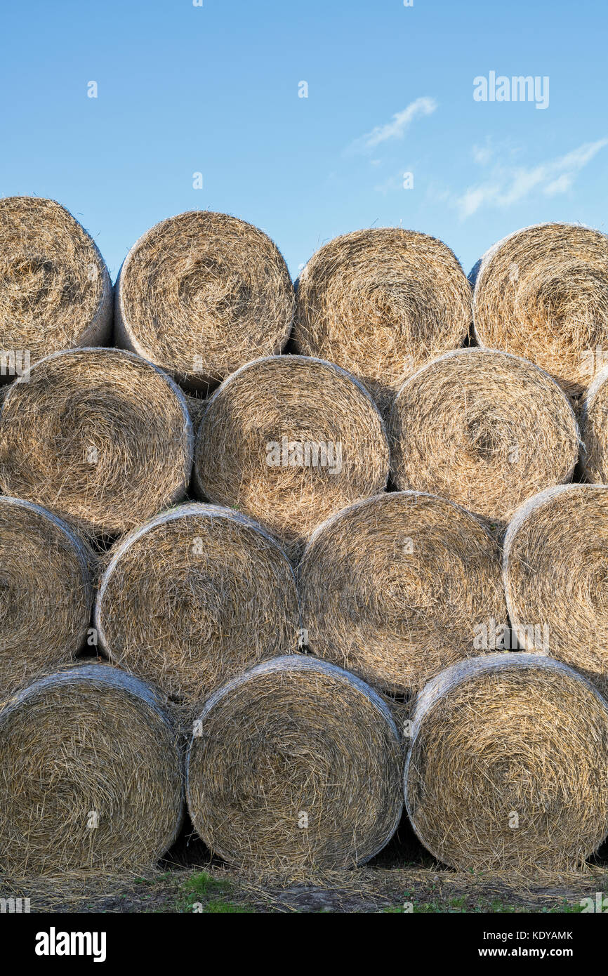 Natural round shapes hi-res stock photography and images - Alamy