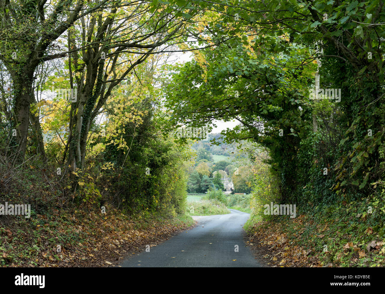 Tunnel of trees in autumn looking towards Upper Slaughter Manor. Upper Slaughter. Cotswolds, Gloucestershire, England Stock Photo
