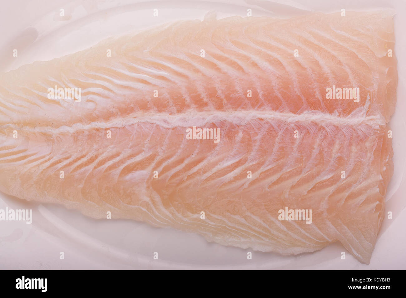 fish fillet of pangasius Stock Photo
