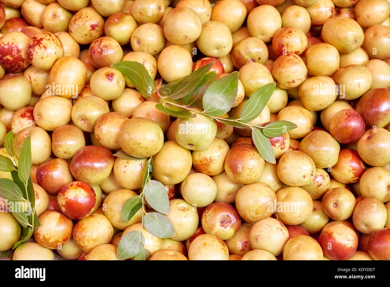 Jujube (Ziziphus jujuba) also called as Chinese apple fruits on a local market, selective focus. Stock Photo