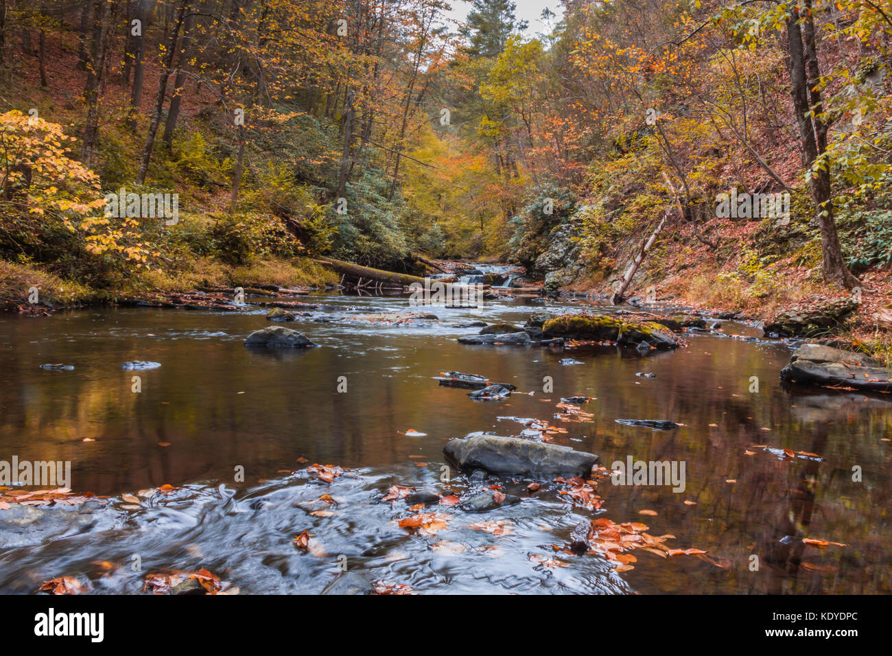 Waterfalls flow smoothly over rocks surrounded by peak fall foliage in Delaware Water Gap