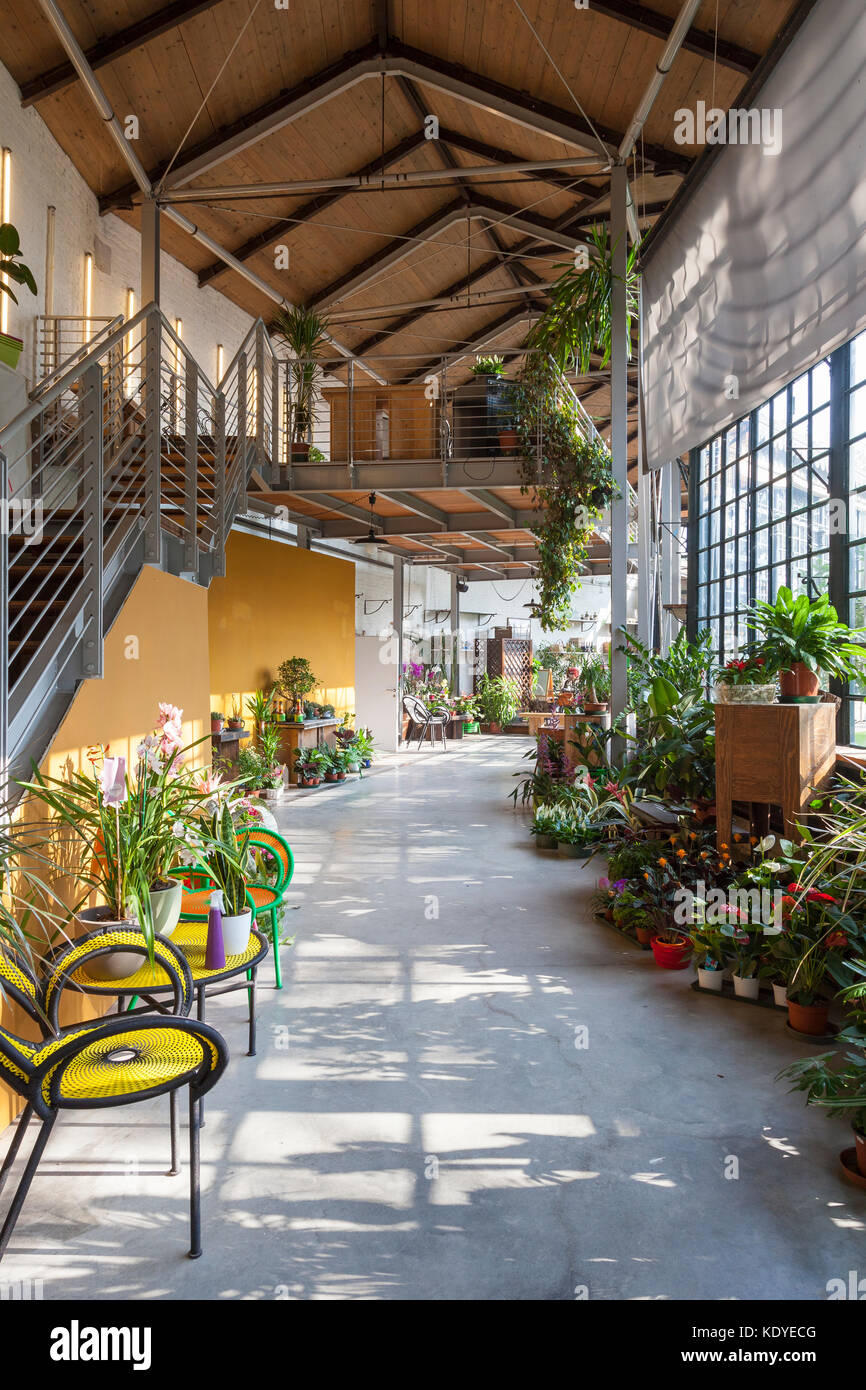 Interior of the historic greenhouse in the Giardini Pubblici , Castello, Venice, Italy which now has a nursery and  a popular cafeteria restaurant Stock Photo