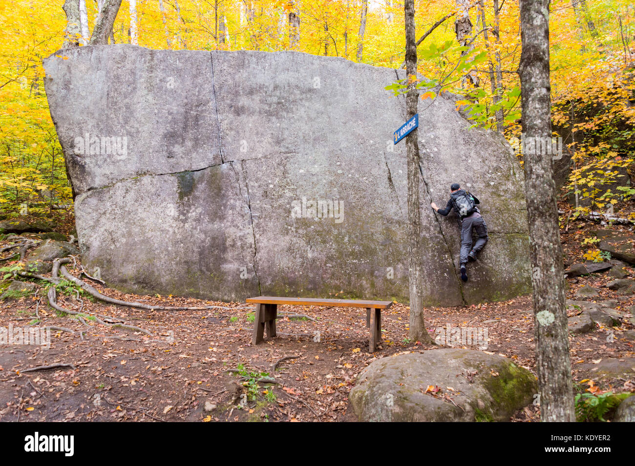 Young man climbing a glacial erratic rock in Val David Regional Park
