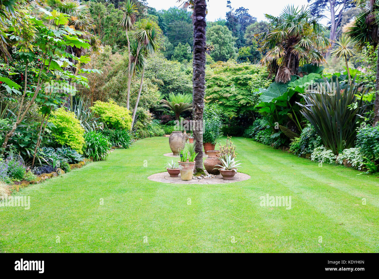 Exotic and subtropical planting surround the sunken lawn at Abbotsbury Subtropical Gardens, Dorset,UK Stock Photo